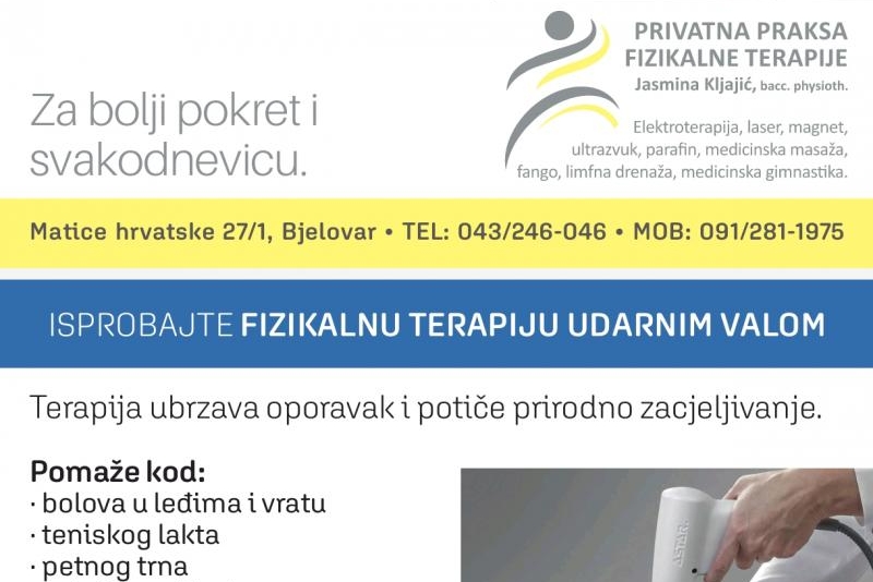 Udarni val